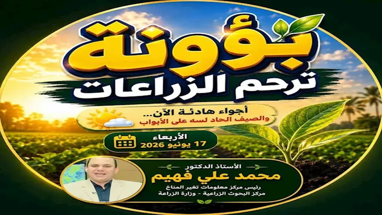 توصيات جديدة للمزارعين لاستثمار برودة الطقس قبل الصيف